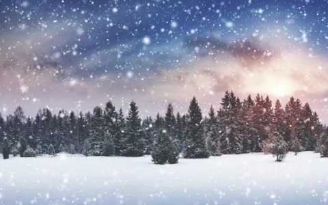 Der Winter naht❄️☃️