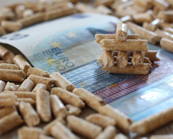 Holzpellets kaufen Pelletpreise
