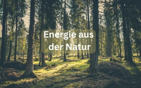 Effizienz beginnt bei der Herstellung🌲