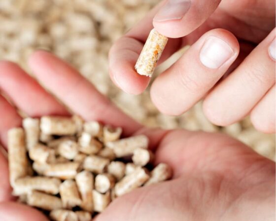 Pellet-Produktion bei FireStixx