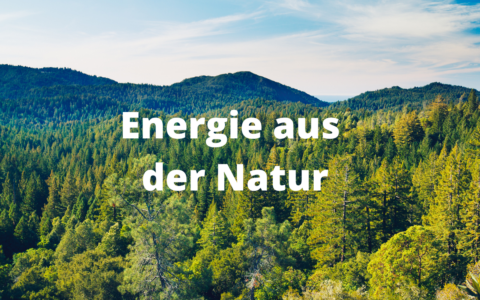 Klimafreundlich und preiswert heizen