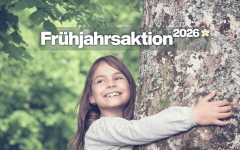 FireStixx Frühjahrsaktion 2026🌼