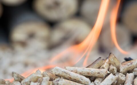 Holz ist und bleibt ein unverzichtbarer regionaler Energieträger bei der Energiewende