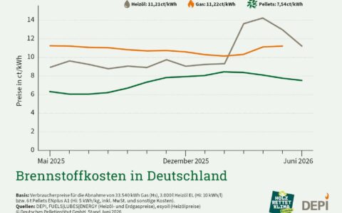 Stabiler Preisvorteil gegenüber Öl und Gas✔️